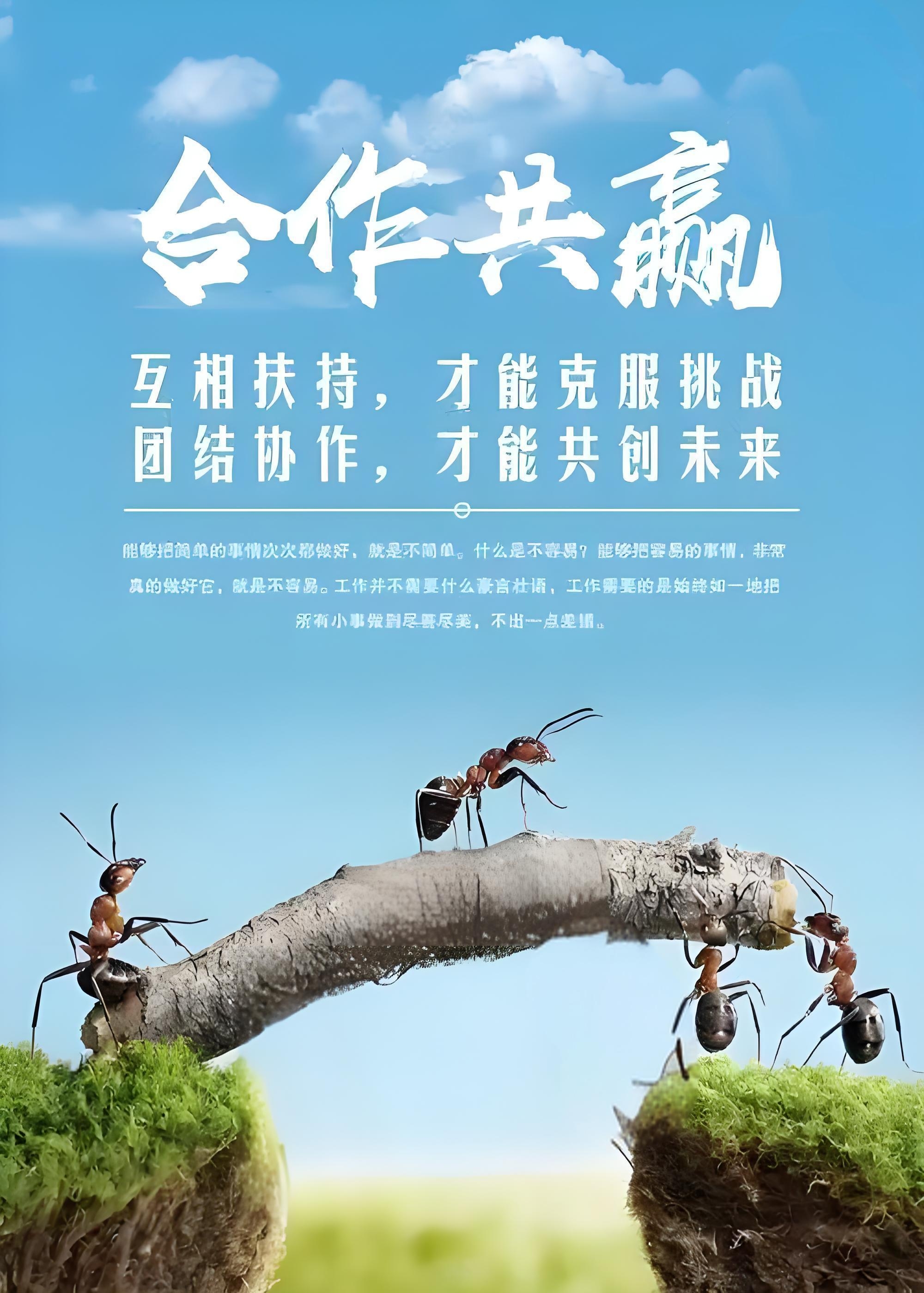 要角逐！两支劲旅决心拼搏一场的简单介绍