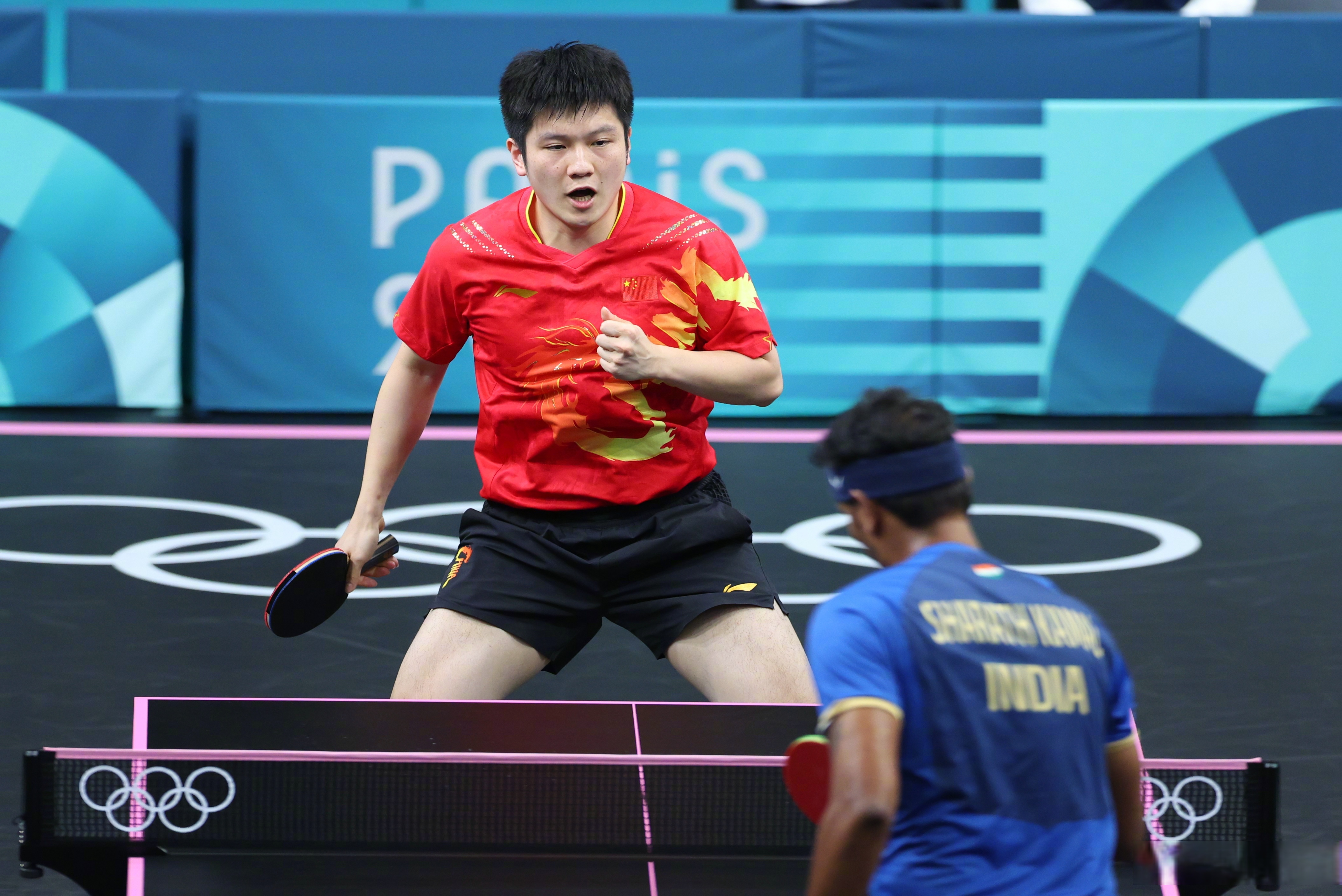 关于瑞典队险胜韩国队，樊振东带队取胜的信息